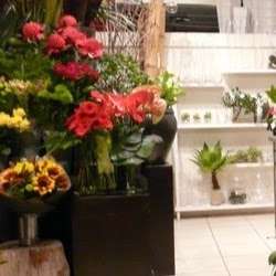 Photo: Noosa Florist